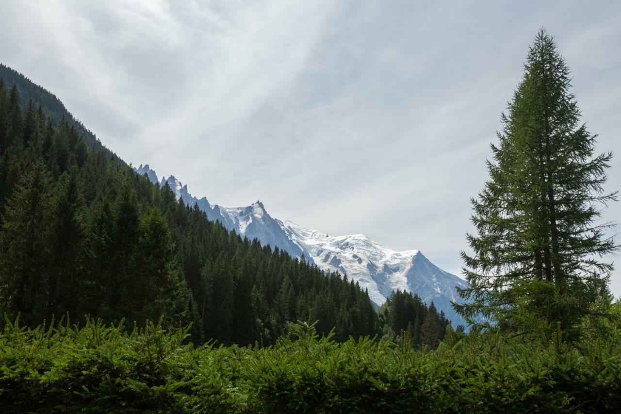 Chalet L'Ilet - Happy Rentals Chamonix Exterior foto
